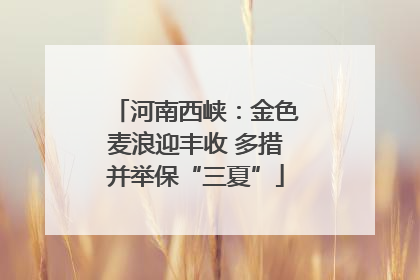 河南西峡：金色麦浪迎丰收 多措并举保“三夏”